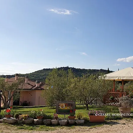 Ai Campi Da Golf