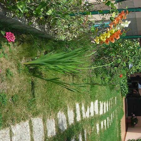 Летний дом Ai Campi Da Golf