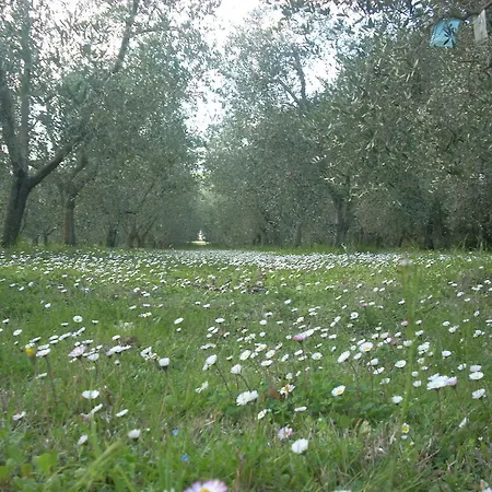 Ai Campi Da Golf Saturnia