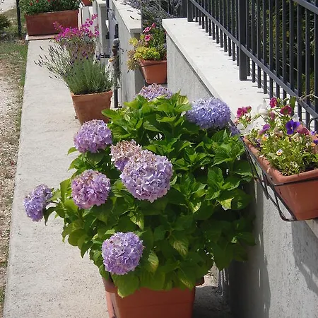 Séjour à la campagne Ai Campi Da Golf *