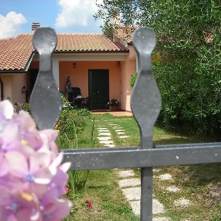 Ai Campi Da Golf